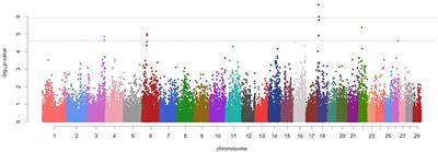 Genome Wide Scan to Identify Potential Genomic Regions Associated With Milk Protein and Minerals in Vrindavani Cattle